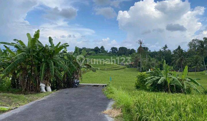 Land 183 M2 Super Rare in Tumbak Bayuh 1