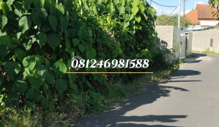 For Sale Tanah Premium Siap Bangun di Prerenan - View Sawah Abadi For Sale Tanah Premium Siap Bangun di Prerenan - View Sawah Abadi