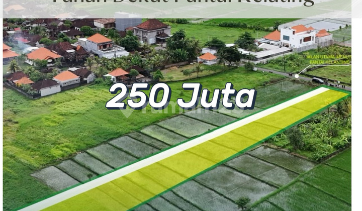 Rare Investment: Rice Field View Land & Near Beach In Kelating, Tabanan Bali