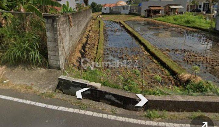 For Sale 1500 M2 Land on the Side of Canggu Road 2