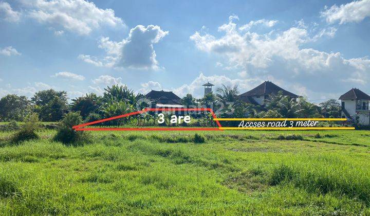 300 Sq Land For Leasehold At Beraban 1