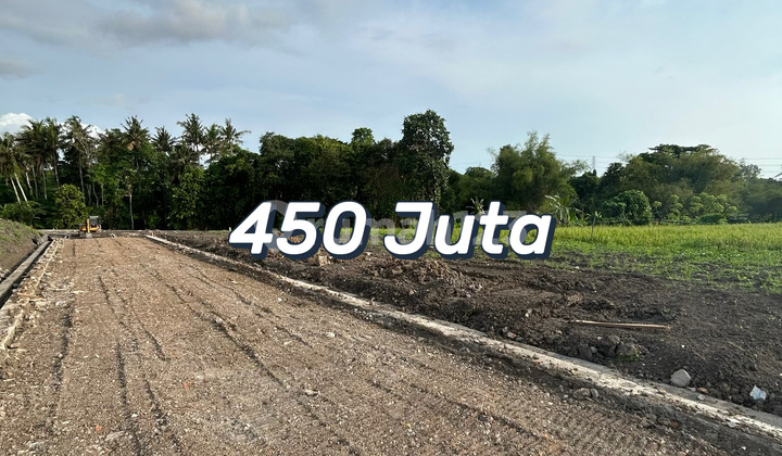 Eternal Rice Field View Land in the Strategic Area of Pandak Gede, Tabanan