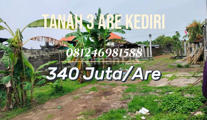 Tanah Strategis 3 Are di Kediri Tabanan - Akses Mobil