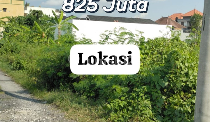 Tanah Luas Ideal Di Munggu Bantas – Posisi Hook, Siap Bangun Tanah Luas Ideal Di Munggu Bantas – Posisi Hook, Siap Bangun