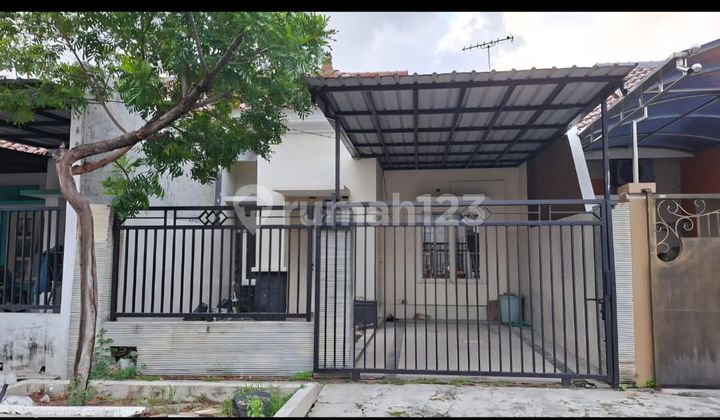 Purimas Kuta Paradise Ready to Live In CHEAP 1