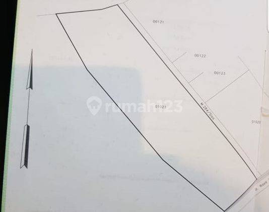 Tanah di Cinangka,serang banten 3911 m² 2