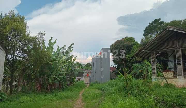 Tanah Murah Cocok untuk Townhouse di Dekat Jl.Kapten Yusuf (Jl.Raya Ciapus) Tanah Murah Cocok untuk Townhouse di Dekat Jl.Kapten Yusuf (Jl.Raya Ciapus)