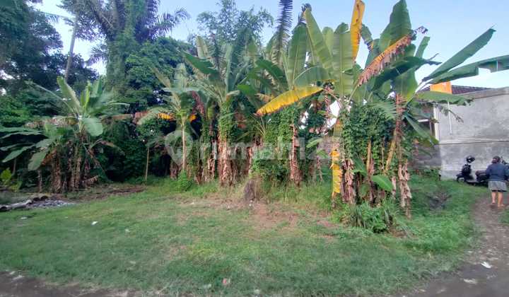 Tanah Lokasi Premium Aspek Perumahan Area Denpasar Utara 1