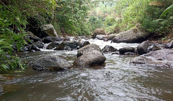 TANAH LOSS VIEW AIR TERJUN AREA  BEDUGUL BALI 4