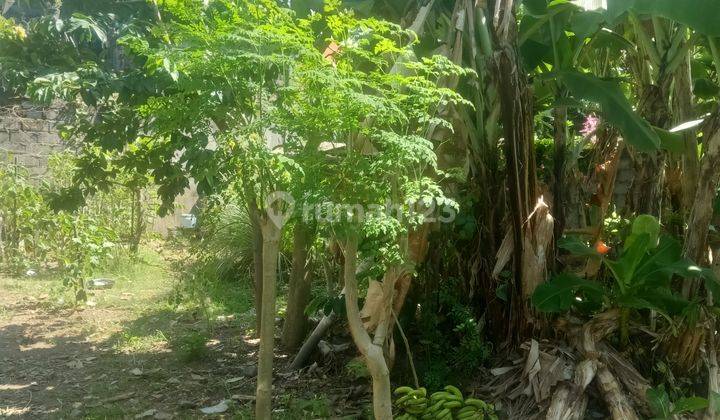 DIKONTRAKKAN TANAH LINGKUNGAN VILLA SIAP BANGUN DI SANUR  2