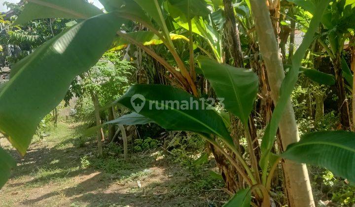 DIKONTRAKKAN TANAH LINGKUNGAN VILLA SIAP BANGUN DI SANUR  7