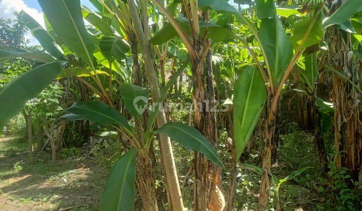 DIKONTRAKKAN TANAH LINGKUNGAN VILLA SIAP BANGUN DI SANUR  8