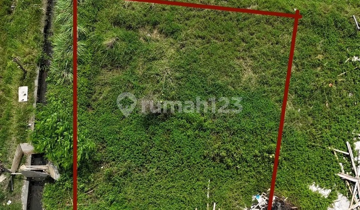 Land Ready to Build Freehold Property Near Sanur Beach Land Ready to Build Freehold Property Near Sanur Beach