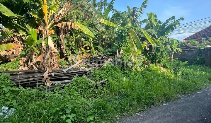 Shop House and New 2-Story House in East Gatsu Area Near Sanur 2