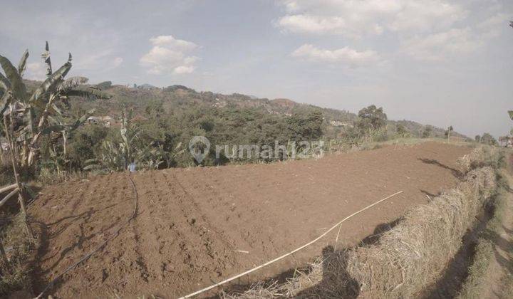 Tanah Luas View Kota Bandung di Cimeunyan Padasuka 2