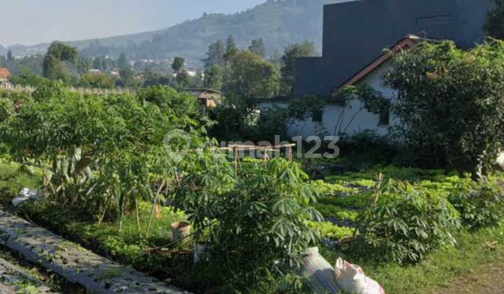 Jual Cepat Kavling Siap Bangun Daerah Lembang Lokasi Strategis