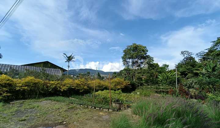 Jual Kavling Sersan Bajuri Cihideung Lembang Kotak Jual Kavling Sersan Bajuri Cihideung Lembang Kotak