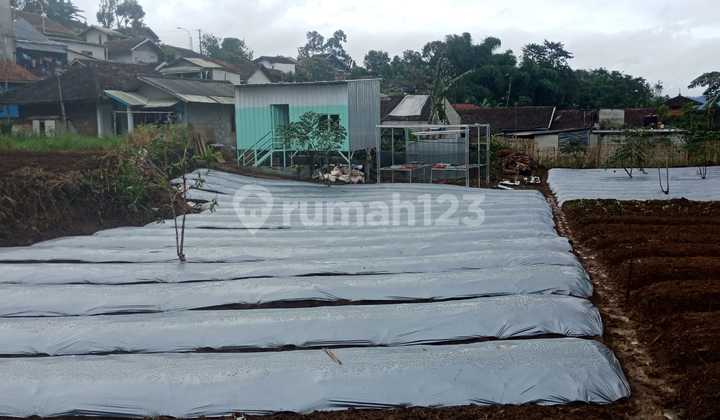 tanah lokasi strategis di daerah ciwidey