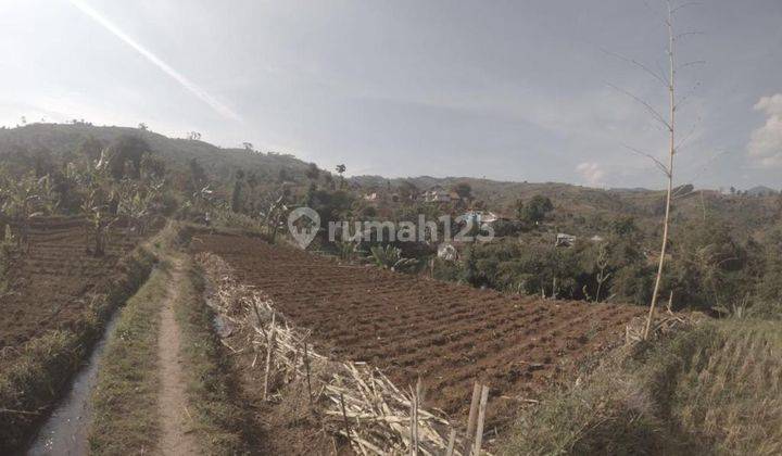 Tanah Luas View Kota Bandung di Cimeunyan Padasuka 1