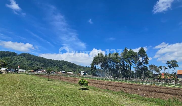 kavling lokasi strategis di maribaya cibodas mainroad