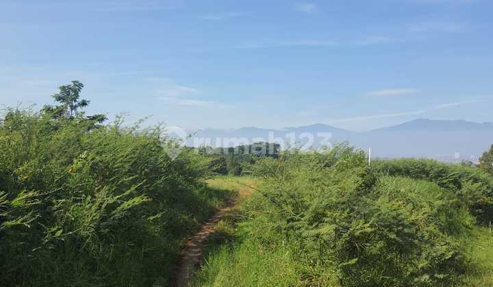 Harga Khusus Akhir Tahun Murah Kavling Mainroad Di Resort Dago Pakar Harga Khusus Akhir Tahun Murah Kavling Mainroad Di Resort Dago Pakar