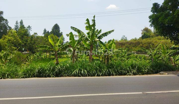 Tanah Matang Lokasi di Jalan Raya Lembang Strategis 1