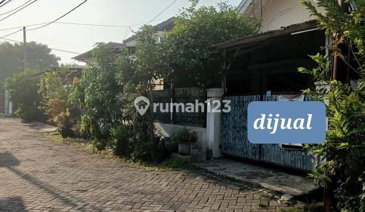 Strategiss Rumah Daerah Mulyosari Siap Renov Murahh 1