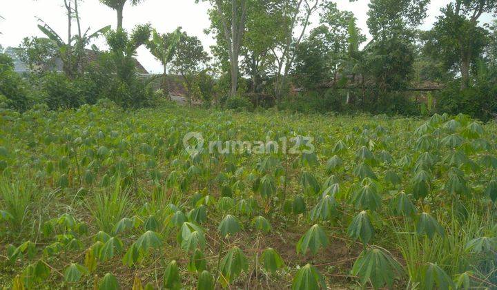 Tanah Kavling Lokasi Strategis Cemoro Kandang 1