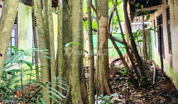 Tanah Sewa Hadap Selatan Potensi Usaha Dekat Kampus Abm Nego 2