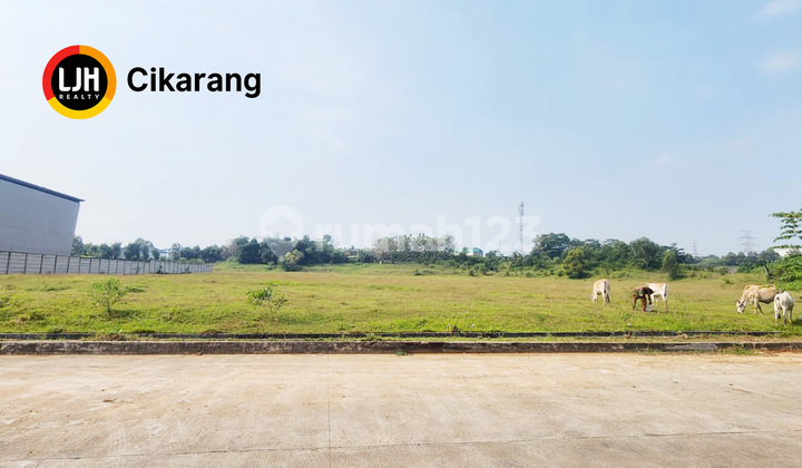 Jual Sewa Kavling Central Cikarang Industrial Park Ccip Cikarang Jual Sewa Kavling Central Cikarang Industrial Park Ccip Cikarang
