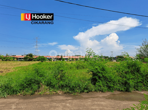 Dijual Kavling Tanah Sawah di Desa Sukahurip Sukatani Cikarang 1