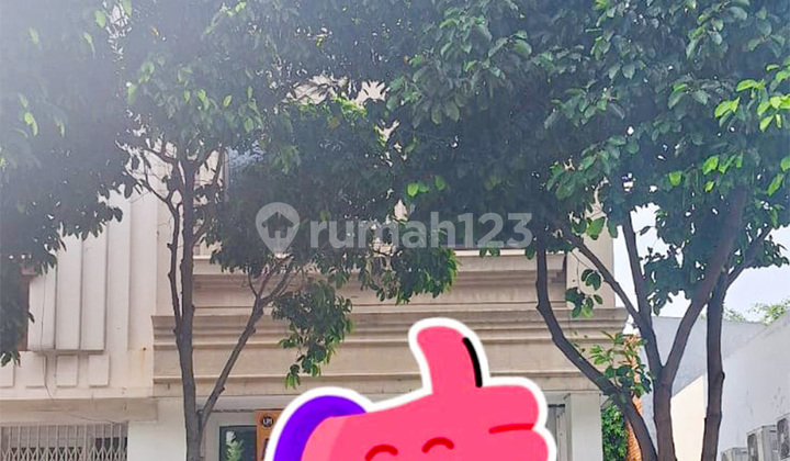 Dijual Disewakan Ruko Hollywood Boulevard Jababeka Cikarang Dijual Disewakan Ruko Hollywood Boulevard Jababeka Cikarang