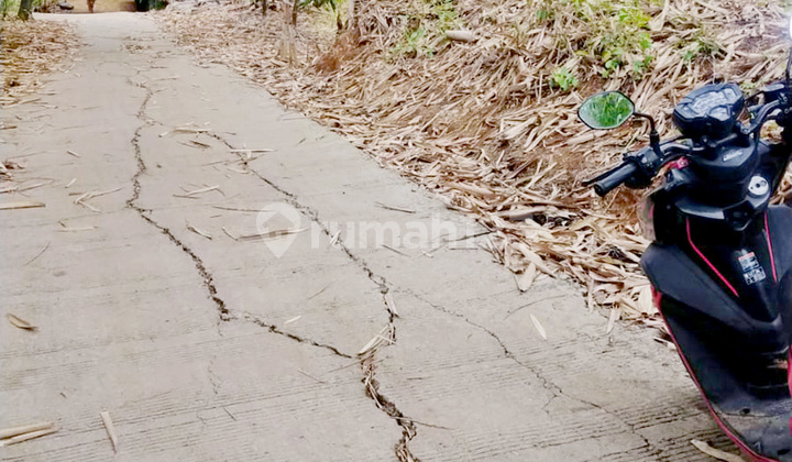 Dijual Kavling Sukabungah Bojongmangu Bekasi dekat tol dan pasar 1
