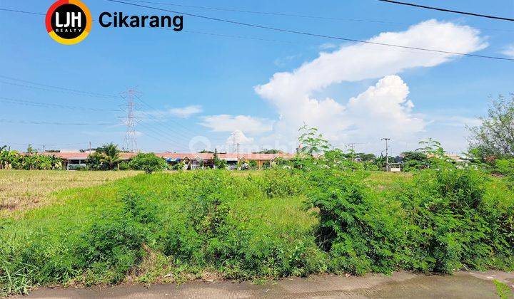 Dijual Kavling Tanah Sawah di Desa Sukahurip Sukatani Cikarang 1