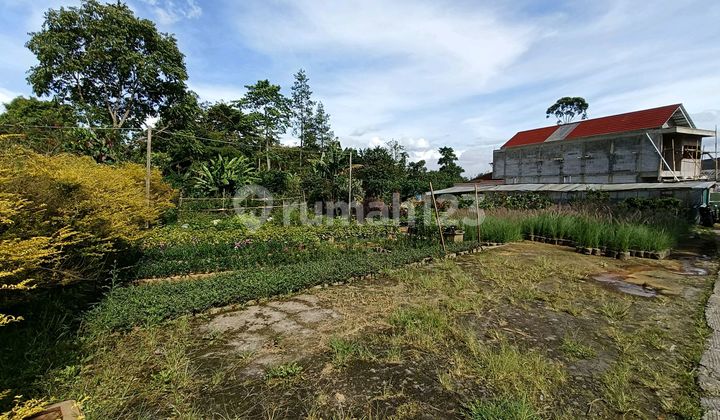 2 Kavling/ Tanah Dalam 1 Area di Sersan Bajuri Cihideung