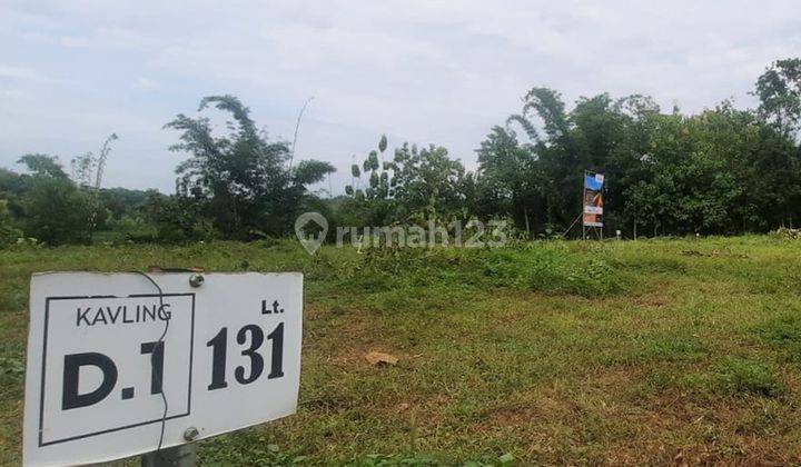 Tanah Murah Wonogiri Kota Luas 113m Harga 31 Juta 1