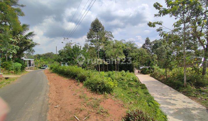 Tanah Murah Karangpandan 90 Juta Luas Tanah 210 M 1