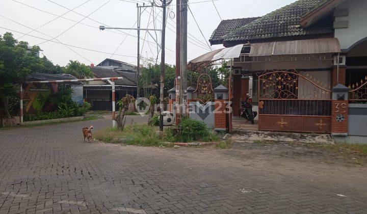 DIJUAL MURAH CEPAT JALAN LEBAR RUMAH MAJAPAHIT  PEDURUNGAN  1