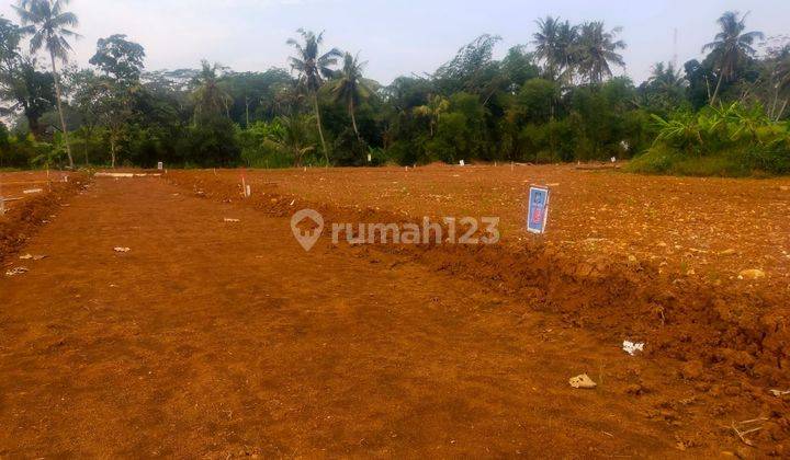 TANAH SIAP BANGUN SENDANGMULYO TEMBALANG SEMARANG 1