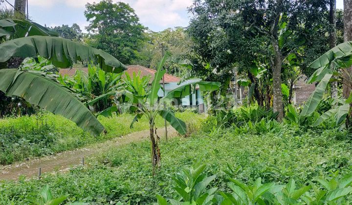 Tanah Kavling Strategis Istimewa Dekat Jalan Raya Cepoko Gunungpati 2