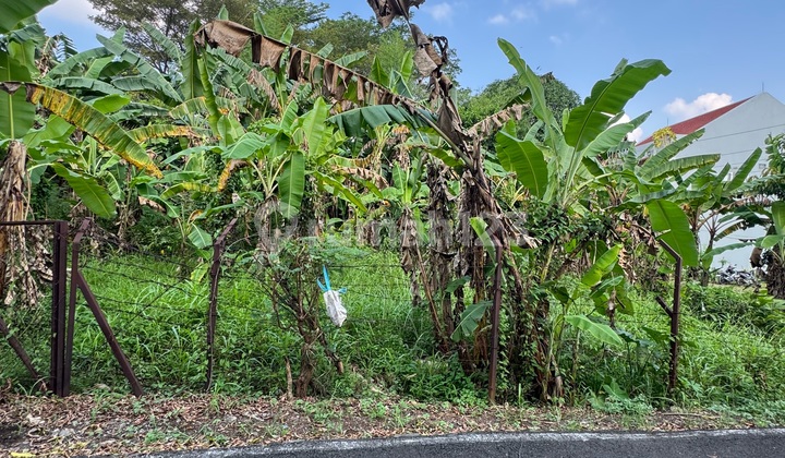 Premium Papandayan Land with Gajahmungkur View Near Akpol 1
