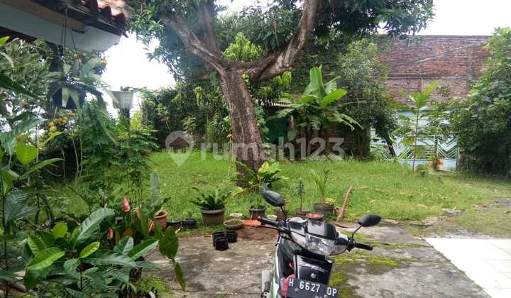 Dijual Nego Keras Rumah View Laut Di Karonsih Raya Ngalian Semarang 2