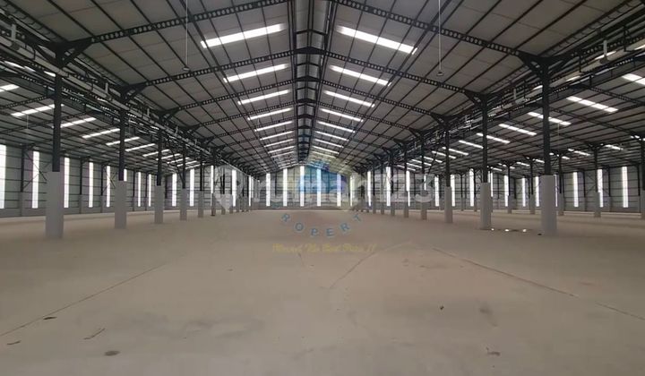 Jawilan Warehouse Serang Banten for Rent Cheap Jawilan Warehouse Serang Banten for Rent Cheap