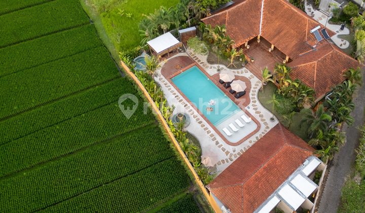 Villa Di Kedungu Tabanan Cocok Untuk Di Komersilkan 2