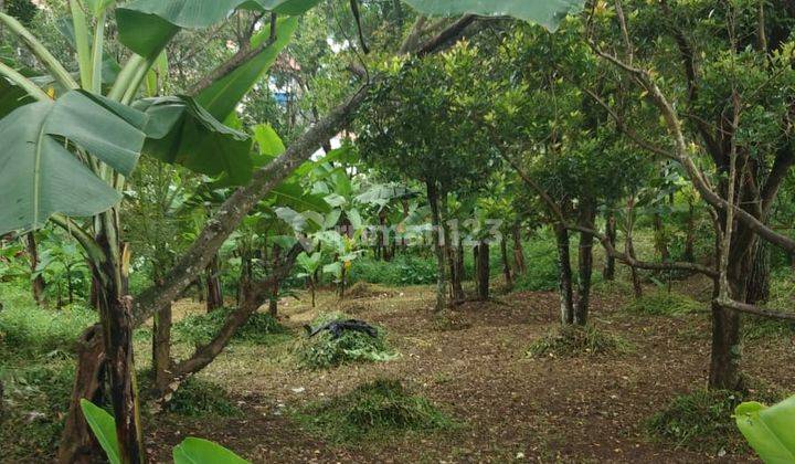Dijual Cepat Tanah di Bojong Koneng 9300 m² Nego 1