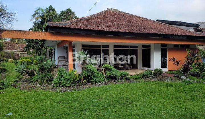 VILA  JALUR PUNCAK 2 DEKAT KOTA BUNGA SEJUK DINGIN ASRI 1