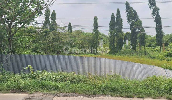 Tanah di jalan raya pantura ,Indramayu 8