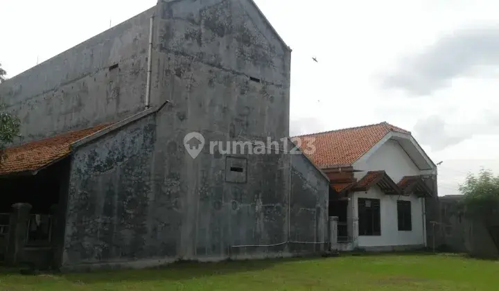 Rumah hunian dan rumah walet di Brebes 1
