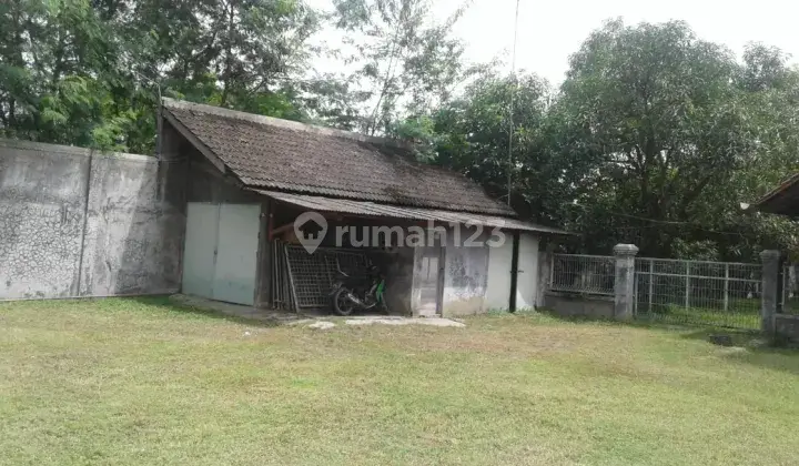 Rumah hunian dan rumah walet di Brebes 4