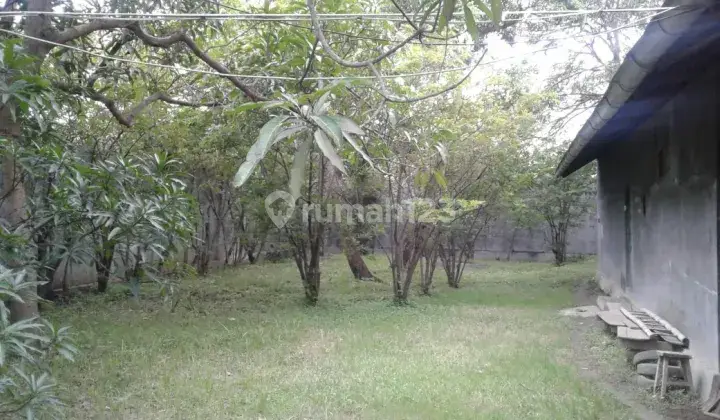 Rumah hunian dan rumah walet di Brebes 6